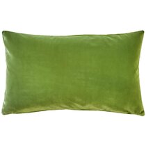 Green velvet hot sale pillow